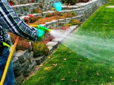 Worker spraying a lawn and bushes with a hose